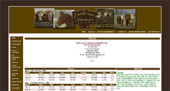 Desktop Screenshot of fslivestock.com